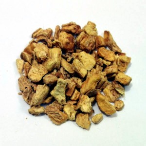 Infusión de Raíz de Jengibre