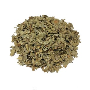 Infusión de Boldo