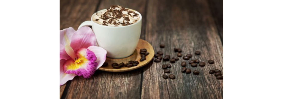 Primavera cafe 2